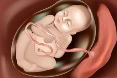 ScreenShot_2026-03-02_153414_870.png ScreenShot_2026-03-02_153414_870.png